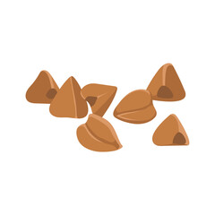 Plant buckwheat seeds and cereals. Beans vector. Buckwheat, millet, corn, rice, oat, wheat. Harvest concept