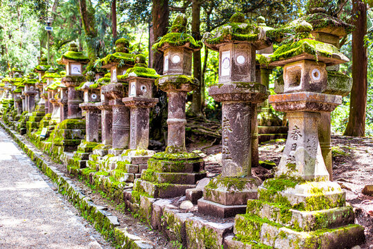 Nara, Japan - April 14, 2019: Kasuga taisha shrine row of stone lanterns on road street covered in green moss by forest trees in spring