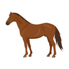 Cartoon domestic animal vector illustration. Farm animal horse isolated on white background. Domestic animals, pets, farming, concept
