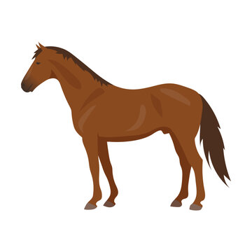 recommend clip art: Cartoon domestic animal vector illustration. Farm animal horse isolated on white background. Domestic animals, pets, farming, concept