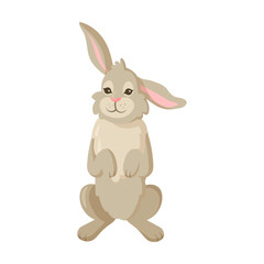 Rabbit or hare character. Easter bunny sitting. Illustration isolated in white background. Easter, farm, animal concept