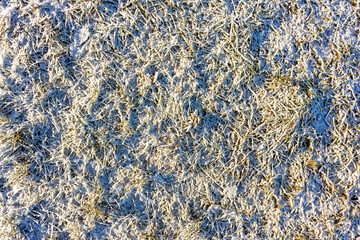 meadow with snow texture background during the day