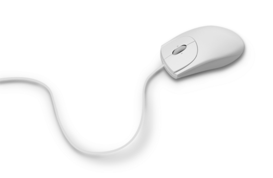 Computer Mouse