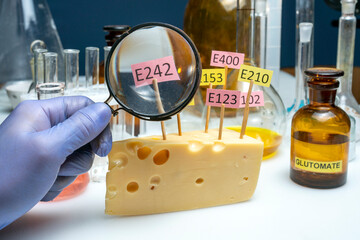 A laboratory assistant has a magnifying glass in his hand, and cheese decorated with tablets with...