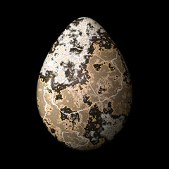 Natural Egg Brown and WHite © Hakon