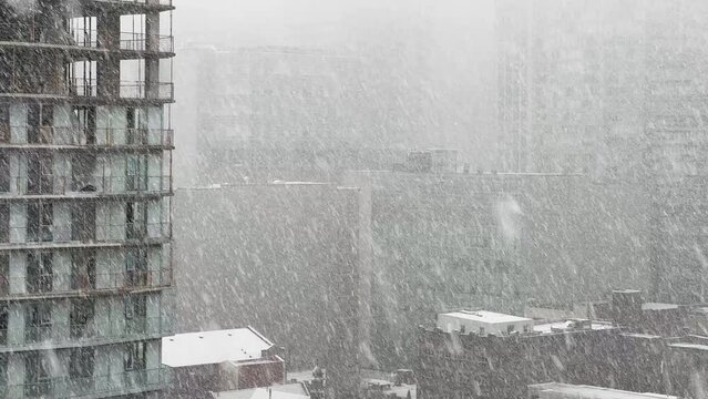 Buildings in heavy snowfall during winter day
