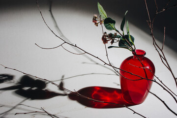 Still life with a red crystal vase with flowers inside and dead tree branches next to it on a white...