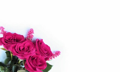 Obraz na płótnie Canvas Crimson roses on a white background. Festive flower arrangement. Background for a greeting card.