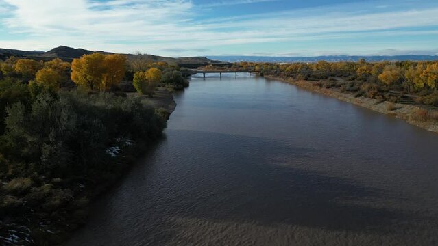 Aerial above Colorado River in Grand Junction, Colorado in autumn lined with beautiful yellow aspen trees