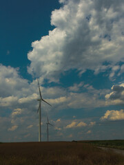 wind turbines in the field