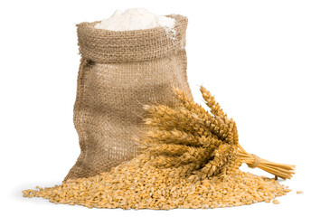 Wheat Grain and Bran Sack