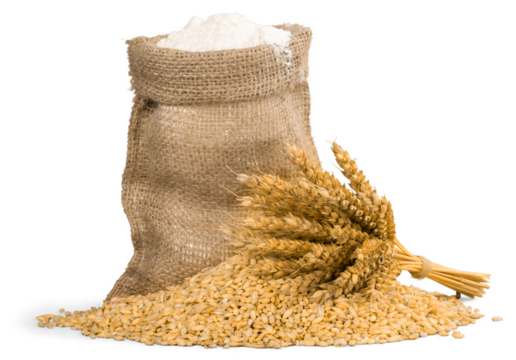 Wheat Grain and Bran Sack