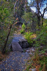 Kyhv Peak Trail views, recently renamed, by Y Mountain, Mount Timpanogos Wasatch Range, Utah. America.  