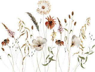 Wildflowers, herbs boho border painted in watercolor. Dried pampas grass floral bouquet, frame. Botanical boho elements isolated on white. Wedding invitation, greeting, card, print, scrapbooking