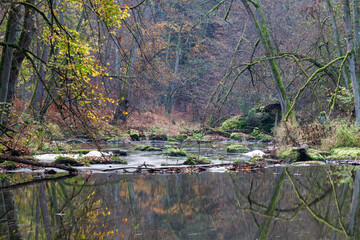 Idyllischer Flusslauf in Spätherbst, Waldnaabtal bei Falkenberg