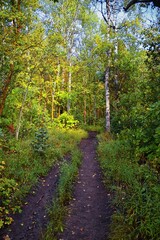 Kyhv Peak Trail views, recently renamed, by Y Mountain, Mount Timpanogos Wasatch Range, Utah. America.  