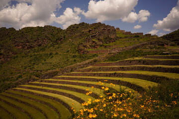 Inca terraces in Pisac Peru - obrazy, fototapety, plakaty
