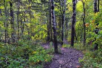 Kyhv Peak Trail views, recently renamed, by Y Mountain, Mount Timpanogos Wasatch Range, Utah. America.  