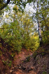 Kyhv Peak Trail views, recently renamed, by Y Mountain, Mount Timpanogos Wasatch Range, Utah. America.  