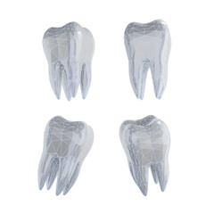 Set of 3d tooth isolated on transparent background. Render. 3d render. Wireframe. PNG. Dentistry, medicine concept. 3D rendering, ui, ux. Teeth. Health.