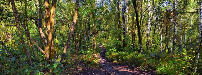 Kyhv Peak Trail views, recently renamed, by Y Mountain, Mount Timpanogos Wasatch Range, Utah. America.  