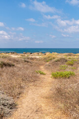 Dor Beach National Park at the end of Summer early Autumn. Beautiful scenery along the Mediterranean Sea. 
