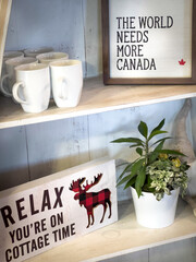 Plant with frames and mugs on shelves