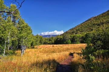 Kyhv Peak Trail views, recently renamed, by Y Mountain, Mount Timpanogos Wasatch Range, Utah....