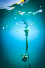 Buoy tied to rope undersea