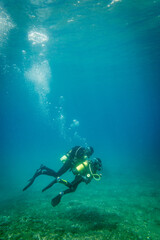 Boy scuba diving with father in ocean