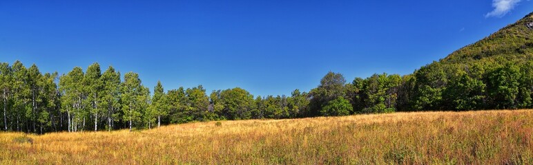 Kyhv Peak Trail views, recently renamed, by Y Mountain, Mount Timpanogos Wasatch Range, Utah. America.  
