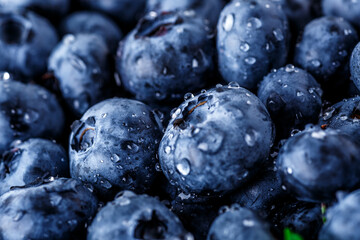 Water drops on ripe sweet blueberry. Fresh blueberries background with copy space for your text. Vegan and vegetarian concept. Macro texture of blueberry berries.Texture blueberry berries close up