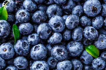 Water drops on ripe sweet blueberry. Fresh blueberries background with copy space for your text. Vegan and vegetarian concept. Macro texture of blueberry berries.Texture blueberry berries close up