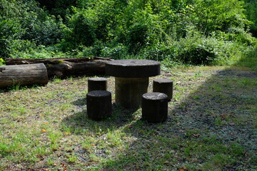 FU 2021-08-08 WanderHonLinz 284 Vor dem Gebüsch steht eine Picknickzone