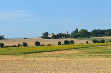 Paysage de la Charente (Nouvelle-Aquitaine - France)