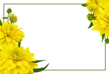 Yellow dissected rudbeckia flowers in a corner floral arrangements with green frame isolated on...