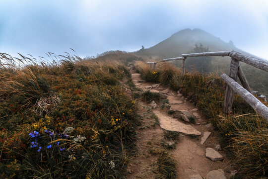 G&oacute;rski szlak we mgle prowadzący na Halicz, Bieszczady, Polska