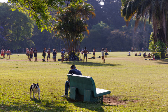 frequentadores do parque aproveitando a tarde ensolarada para caminha, fazer exerc&iacute;cios e relaxar