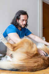Latin young man concentrated on brushing his collie at home. Copy space. Vertical.