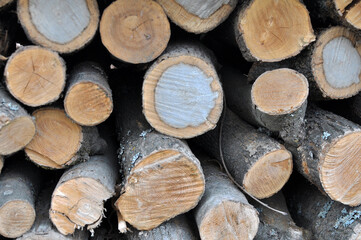 Parts of wood cut into firewood for space heating