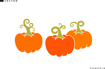 Ripe pumpkins. Isolated vegetables on white background
