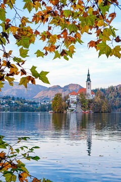 Lake Bled and Bled Island Church Under Autumn Leaves and a Blue Sky