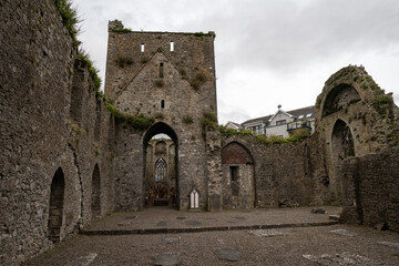 Fototapeta premium Castle Rock of Cashel in Ireland, Cloudy