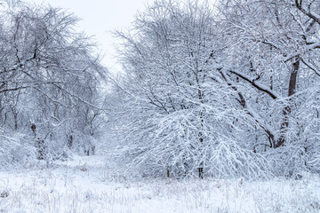 Winter Snow Scheme in Green Belt, Clive, Iowa