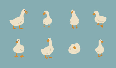 duck white 2 cute on a blue background, vector illustration