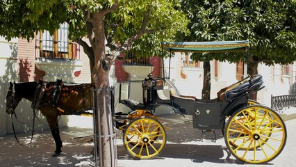 Carriole attelée au cheval sous le soleil de Séville en Espagne - obrazy, fototapety, plakaty