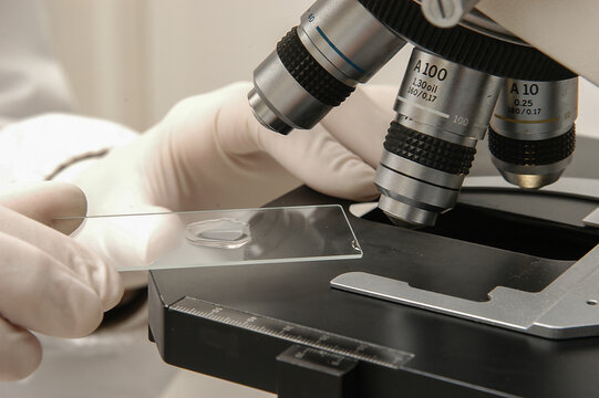 Gloved hands putting a slide into the microscope.