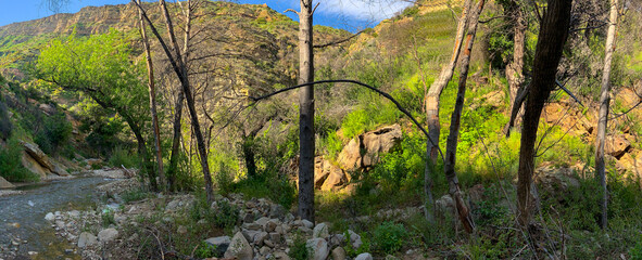 Matilija Creek, Los Padres National Forest 
