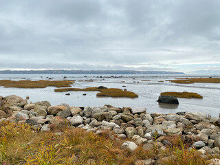 Paysage côtier à marée basse par une journée pluvieuse et grisâtre. Fleuve, roches et...