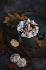 cappuccino coffee in a gray cup with cinnamon and pieces of marshmallow on a dark background.